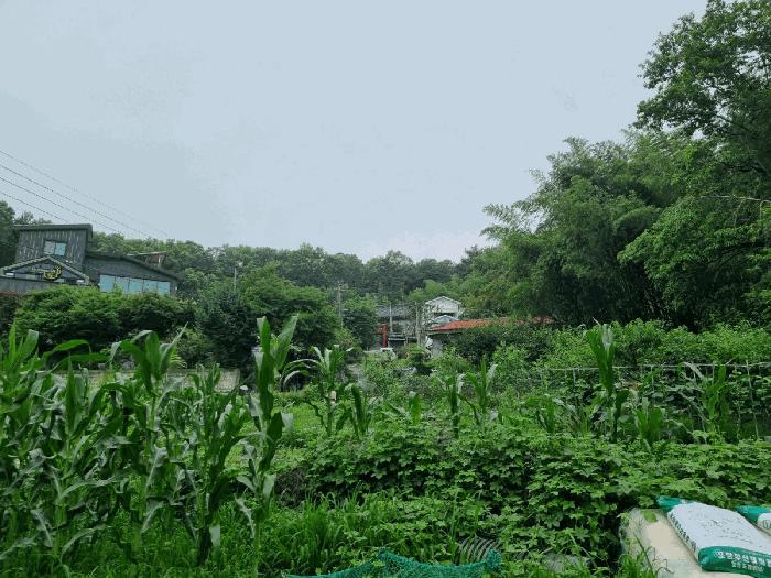 경상북도 포항시 남구 이동 산96-1 법원경매 물건 대표사진