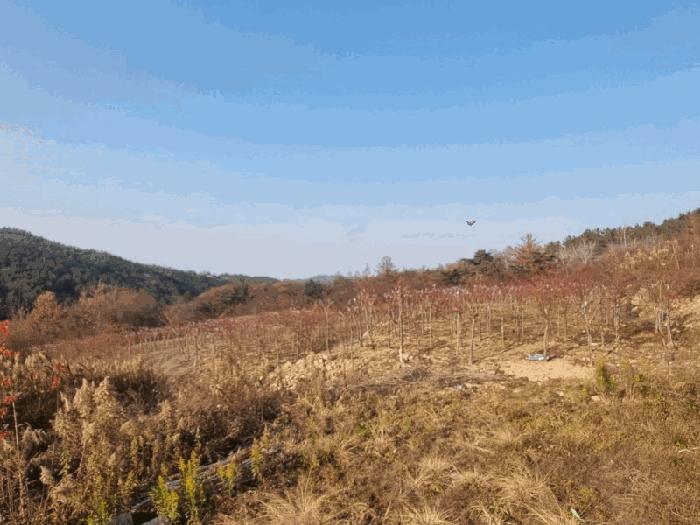 전북특별자치도 임실군 임실읍 정월리 928 법원경매 물건 대표사진