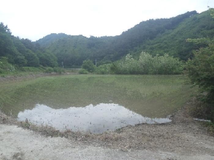 2025타경698 법원경매 사진14 | 전북 임실군 전답 경매