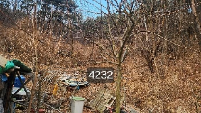 부산광역시 기장군 장안읍 덕선리 478 법원경매 물건 대표사진
