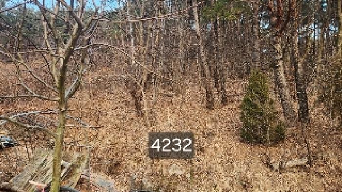 법원경매 2025타경4232 사진2 | 부산 기장군 장안읍 덕선리 478 임야 경매