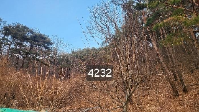 법원경매 2025타경4232 사진3 | 부산 기장군 장안읍 덕선리 478 임야 경매