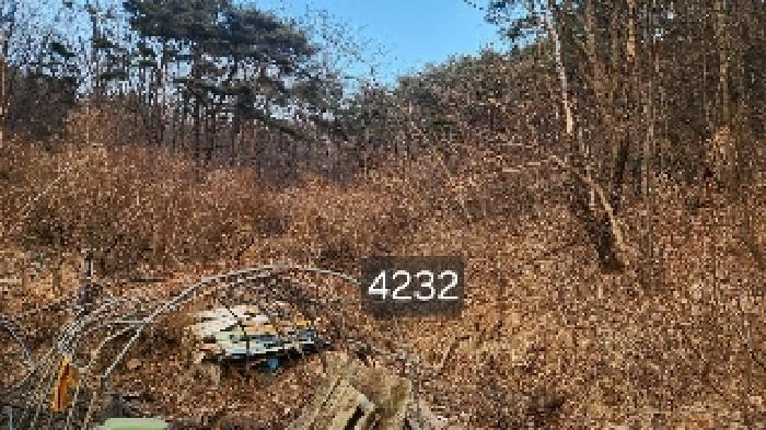 법원경매 2025타경4232 사진4 | 부산 기장군 장안읍 덕선리 478 임야 경매
