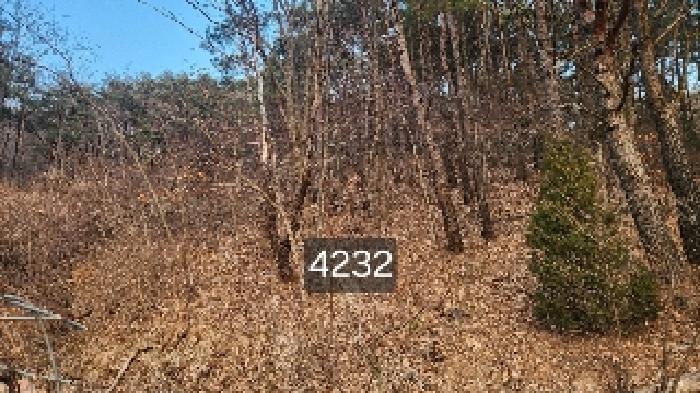 법원경매 2025타경4232 사진5 | 부산 기장군 장안읍 덕선리 478 임야 경매