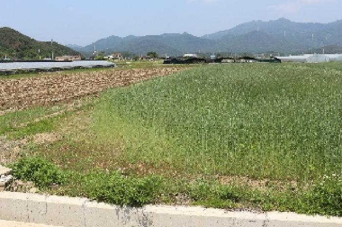 2025타경735 법원경매 사진5 | 경남 밀양시 답 경매