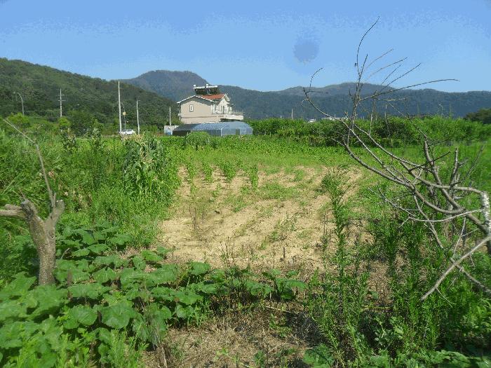 2025타경834 법원경매 사진4 | 경남 밀양시 답 경매