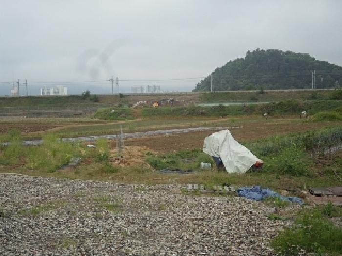 2025타경834 법원경매 사진7 | 경남 밀양시 답 경매