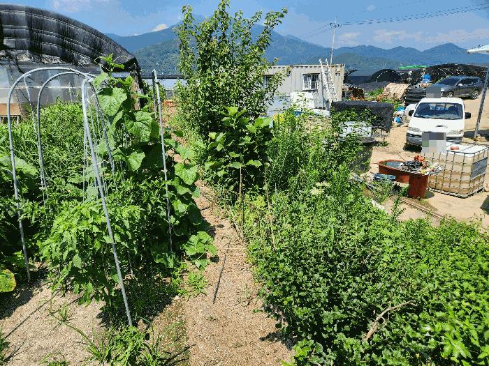 경남 밀양시 상남면 연금리 2033 답 사진 5