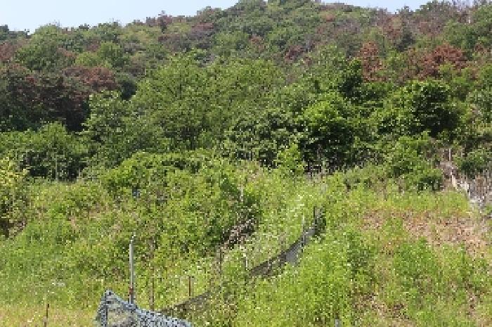 2025타경988 법원경매 사진41 | 경남 밀양시 답 경매
