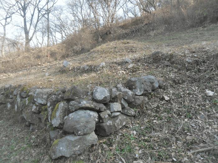 2025타경1448 법원경매 사진2 | 경남 밀양시 임야 경매