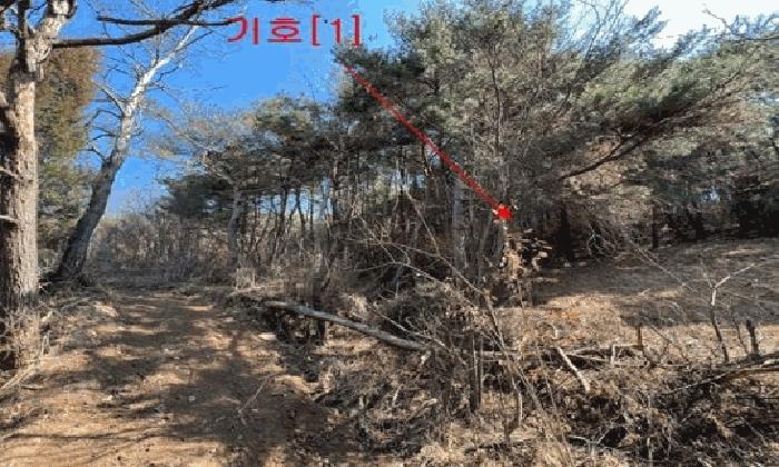 경상남도 창녕군 이방면 상리 산30 법원경매 물건 대표사진