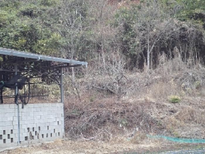 2025타경10242 법원경매 사진8 | 경남 창녕군 임야 경매