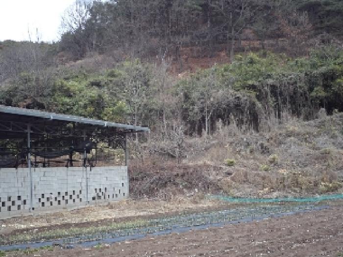 2025타경10242 법원경매 사진9 | 경남 창녕군 임야 경매