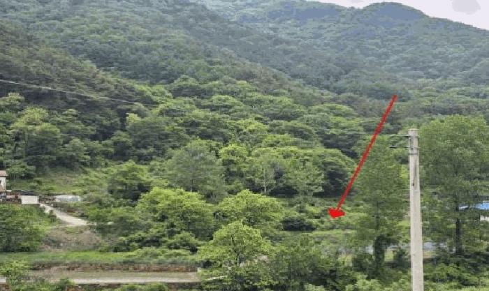 2025타경10295 법원경매 사진2 | 경남 밀양시 임야 경매