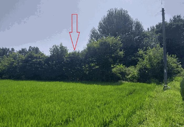 전북특별자치도 정읍시 이평면 두지리 168-1 법원경매 물건 대표사진