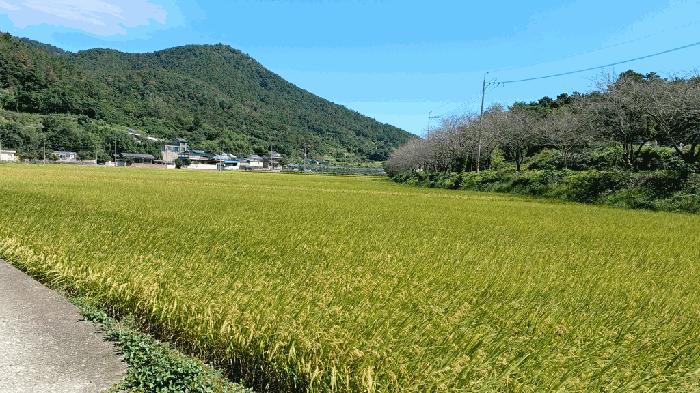 전남 순천시 해룡면 농주리 산154 임야 사진 4