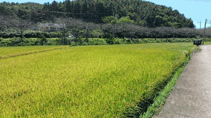 전남 순천시 해룡면 농주리 산154 임야 사진 5