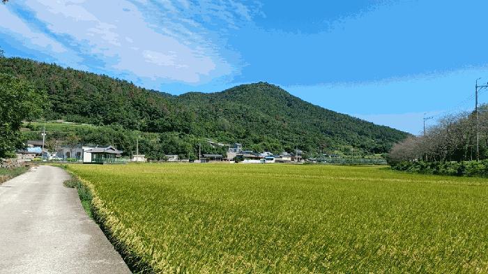 2025타경52058 법원경매 사진7 | 전남 순천시 답 경매
