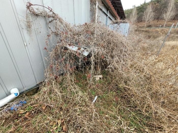2023타경13034 법원경매 사진6 | 경남 창녕군 축사(농가시설) 경매