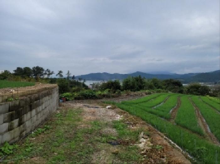 전남 보성군 회천면 서당리 384 대지 사진 5