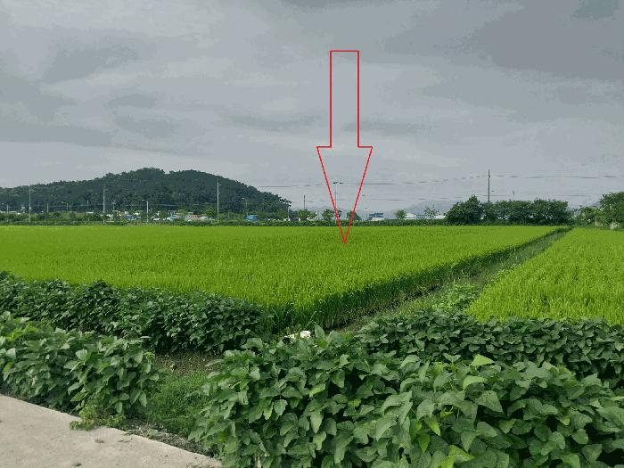 법원경매 2025타경324 사진4 | 부안군 계화면 답 경매