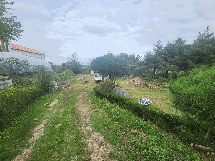 2025타경345 법원경매 사진3 | 전북 정읍시 대지 경매