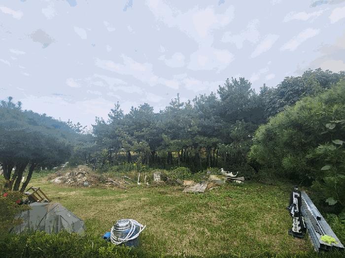 2025타경345 법원경매 사진7 | 전북 정읍시 대지 경매