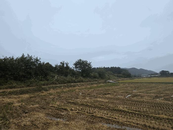 2025타경349 법원경매 사진9 | 전북 부안군 답 경매