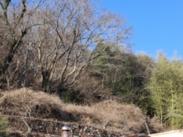 경상남도 남해군 상주면 양아리 614 법원경매 물건 대표사진