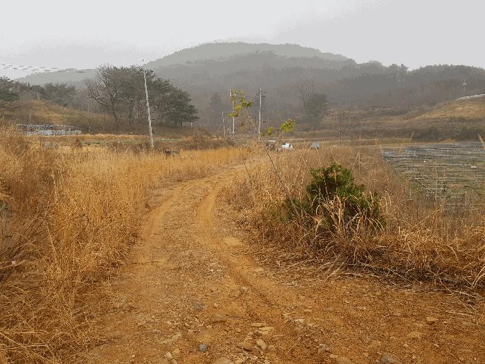 2025타경573 법원경매 사진3 | 경남 하동군 답 경매