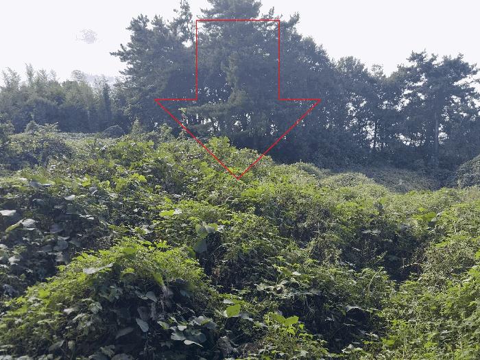 2025타경30447 법원경매 사진2 | 전북 정읍시 전 경매