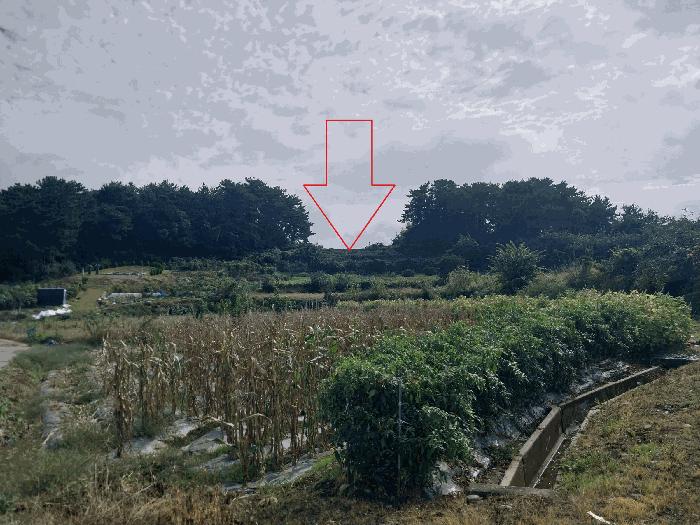 2025타경30447 법원경매 사진6 | 전북 정읍시 전 경매