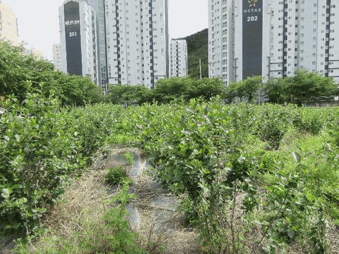 경상남도 통영시 광도면 안정리 1070 법원경매 물건 대표사진