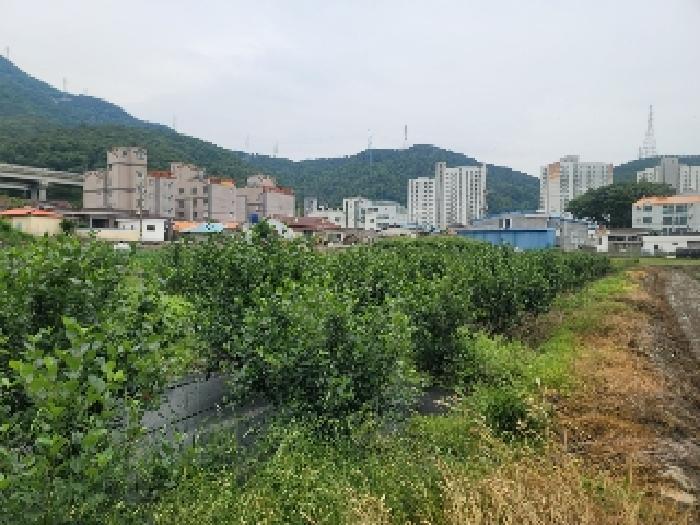 2025타경21309 법원경매 사진16 | 경남 통영시 답 경매