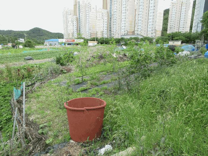 2025타경21309 법원경매 사진3 | 경남 통영시 답 경매