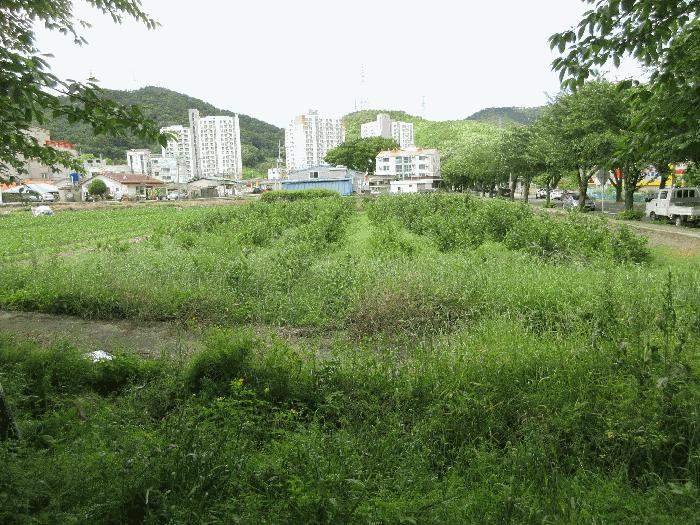 2025타경21309 법원경매 사진9 | 경남 통영시 답 경매
