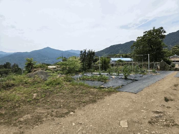 법원경매 2025타경704 사진3 | 하동군 악양면 입석리 570 임야 경매
