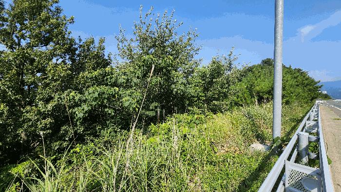 경상남도 거제시 고현동 산85-3 법원경매 물건 대표사진