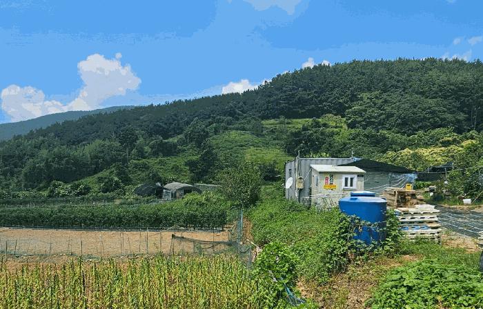경상남도 거제시 동부면 부춘리 615 법원경매 물건 대표사진
