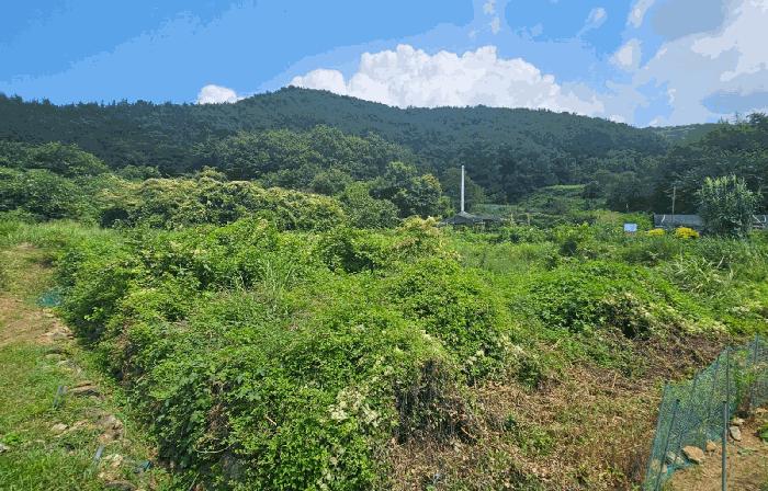 2025타경21833 법원경매 사진4 | 경남 거제시 대지 경매