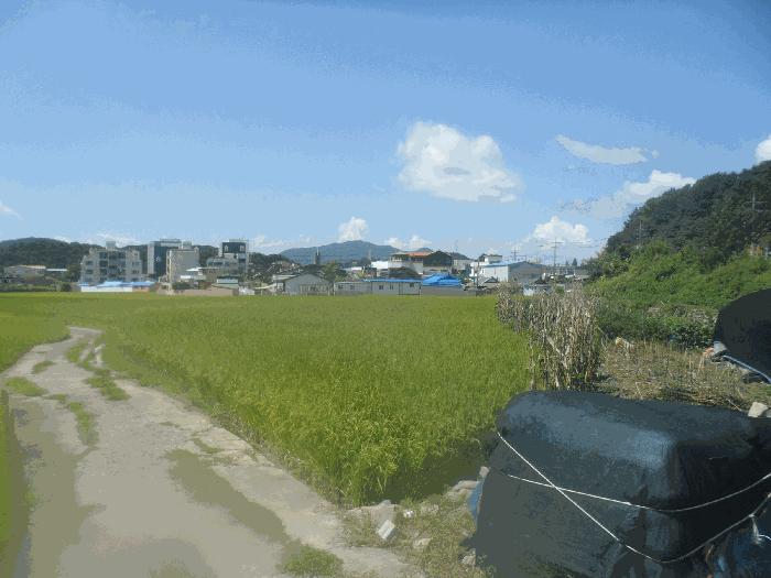 2025타경21865 법원경매 사진2 | 경남 고성군 답 경매
