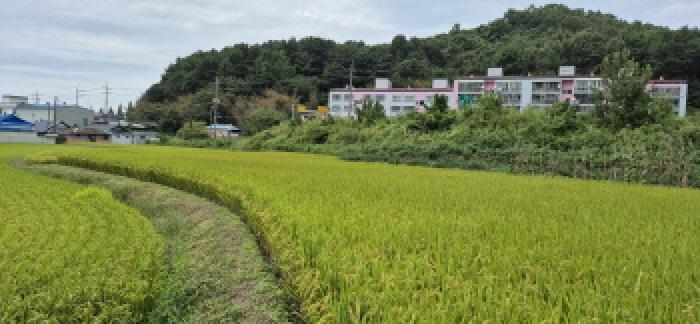 2025타경21865 법원경매 사진21 | 경남 고성군 답 경매