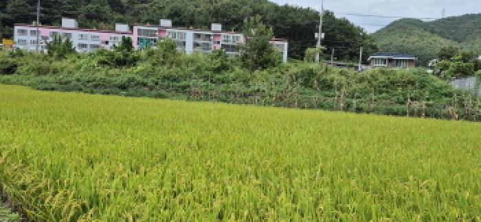 2025타경21865 법원경매 사진23 | 경남 고성군 답 경매
