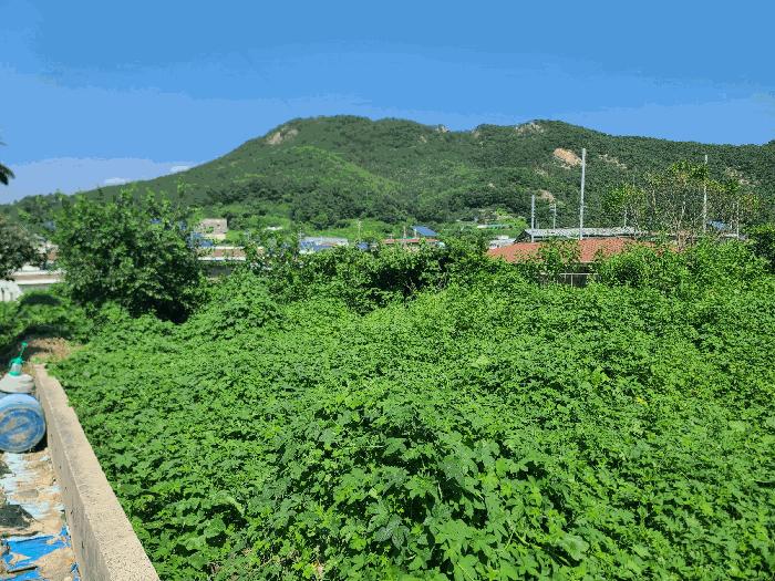 2025타경21873 법원경매 사진2 | 경남 거제시 대지 경매
