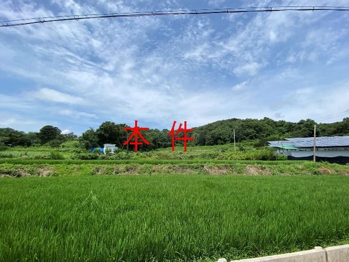 법원경매 2024타경80431 사진3 | 화성시 서신면 송교리 임야 경매