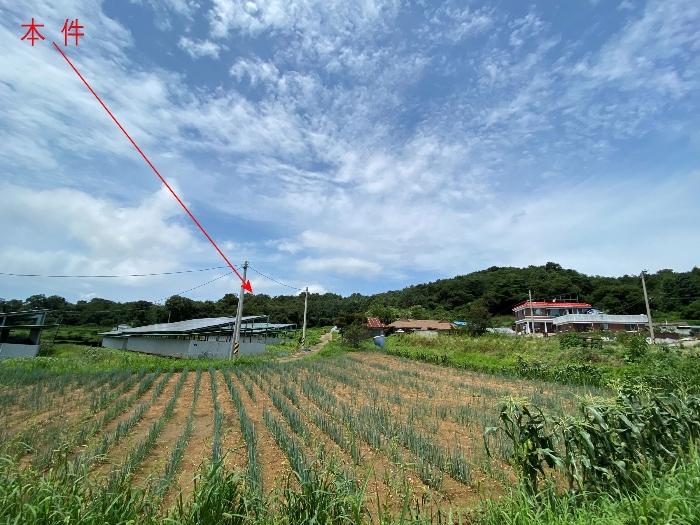 법원경매 2024타경80431 사진4 | 화성시 서신면 송교리 임야 경매