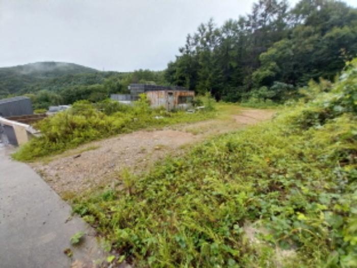 법원경매 2024타경80646 사진28 | 용인시 수지구 고기동 230-18 도로 경매
