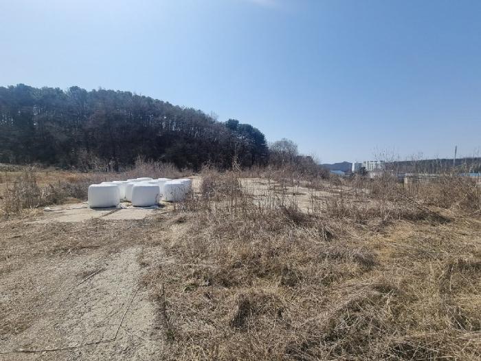 2023타경6945 법원경매 사진5 | 경기 파주시 답 경매