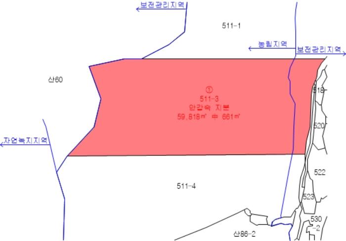 법원경매 2024타경87323 사진11 | 파주시 법원읍 대능리 511-3 임야 경매