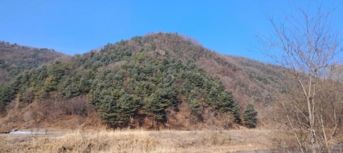 법원경매 2024타경87323 사진7 | 파주시 법원읍 대능리 511-3 임야 경매